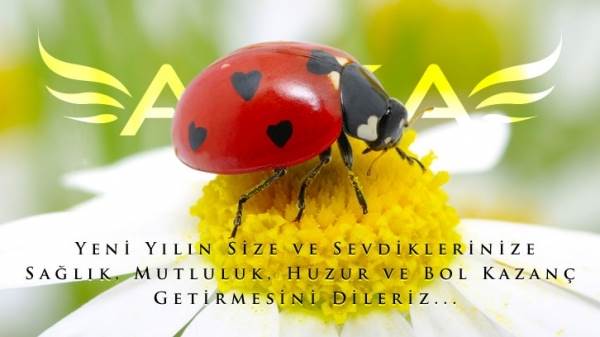 Hoşgeldin 2017