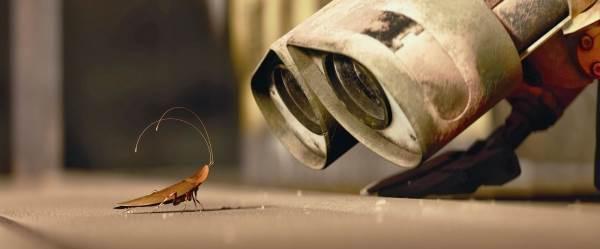 Hamamböcekleri Hayatlarımızı Nasıl Kurtaracak?
