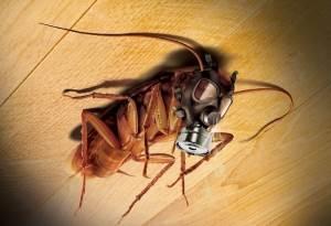 B&ouml;cek İla&ccedil;laması konusunda uzmanlar!