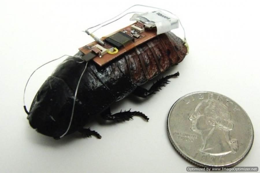 Göçük Altında Kalanları Araştırma da Donanımlı Böcekler