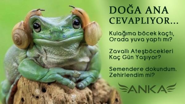 Doğa Ana Cevaplıyor