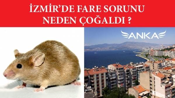 Fare İla&ccedil;laması