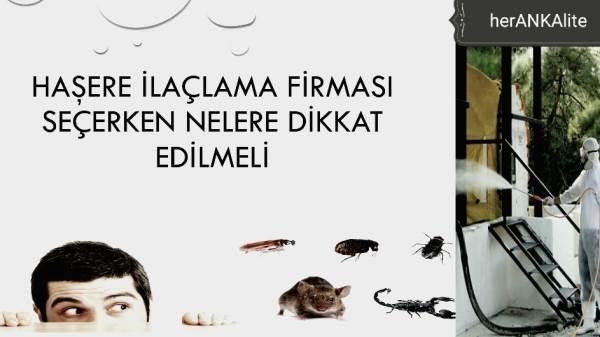 Haşere ila&ccedil;lama firmaları