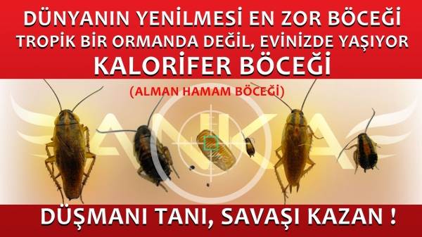 Kalorifer B&ouml;ceği ( Alman Hamam B&ouml;ceği )