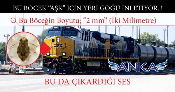 Bu B&ouml;cek Aşk İ&ccedil;in Yeri G&ouml;ğ&uuml; İnletiyor