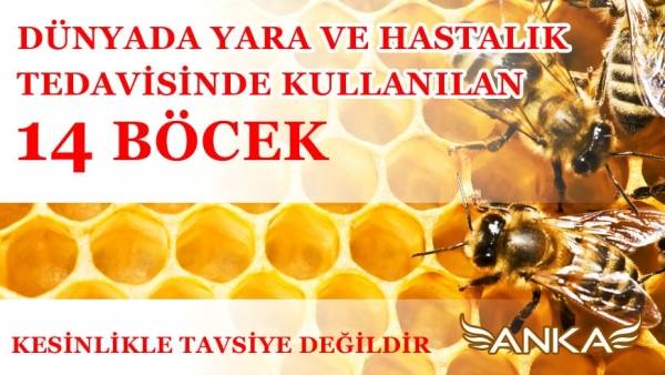 Yara ve Hastalık Tedavilerinde B&ouml;cekler